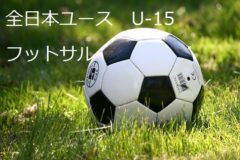 17年度千葉県中学校総合体育大会サッカー競技 市川浦安支部予選 優勝は明海中学校 ジュニアサッカーnews