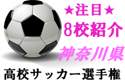 注目 8校の紹介 17年度 神奈川県高校サッカー選手権 ジュニアサッカーnews