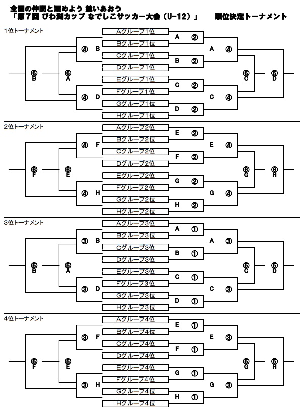 17年度 第7回 びわ湖カップなでしこサッカー大会 Uｰ12 優勝は北摂ガールズ 兵庫県 ジュニアサッカーnews