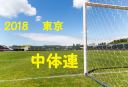 18年度 東京都豊島区中学校総合体育大会サッカー競技 優勝は本郷中学校 ジュニアサッカーnews