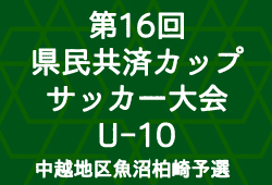 ジュニアサッカー デビュー前に 知っておきたい基礎知識 ジュニアサッカーnews