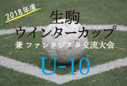 18年度 生駒ウインターカップ兼ファンタジスタ交流大会 U 10 奈良県 優勝は斑鳩fcドリームチップス ジュニアサッカーnews