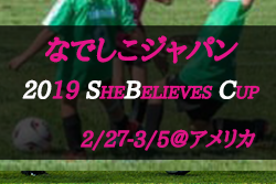 メンバー変更有 6月開幕のｗ杯フランス大会の前哨戦 なでしこジャパン 日本女子代表 参加メンバー スケジュール発表 19 Shebelieves Cup 2 27 3 5 アメリカ ジュニアサッカーnews