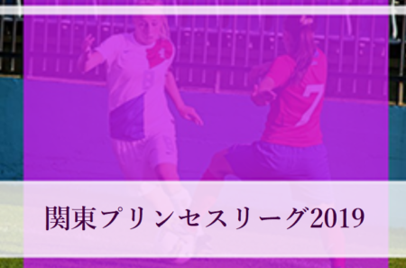 関東プリンセスリーグ19 優勝は浦和レディースユース ジュニアサッカーnews