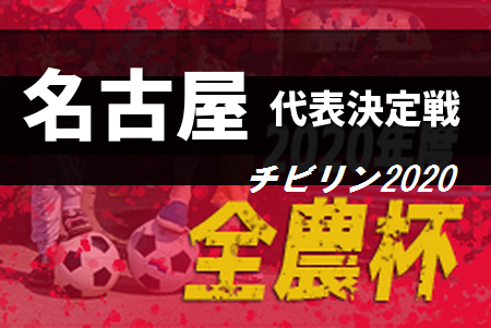 19年度 愛知 第18回ja全農杯 全国小学生選抜サッカー大会 名古屋地区代表決定戦 チビリン愛知 名古屋3代表決定 ジュニアサッカーnews