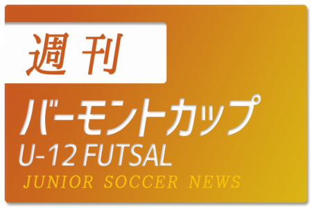 バーモントに向けてのイメージトレーニング ジュニアサッカーnews