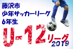 19年 第52回藤沢市少年サッカーリーグ 後期 6年生の部 優勝は六会湘南台ｂ神奈川 ジュニアサッカーnews