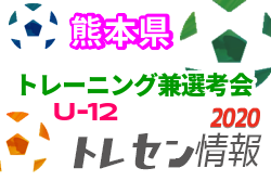 熊本 ジュニアサッカーnews