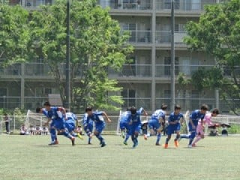 東京小学生 ジュニアサッカーnews