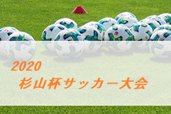 年度 杉山杯サッカー大会 山形 優勝はこまくさfc ジュニアサッカーnews