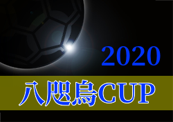 年度 八咫烏cup U 12 高知県 優勝はfcトリアネーロ町田 12 6結果掲載 ジュニアサッカーnews