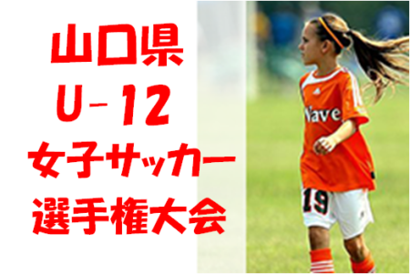 大会中止 第29回山口県u 12女子サッカー選手権大会 2 13 14 ジュニアサッカーnews