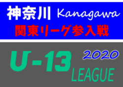 年度 神奈川県 U 13 サッカーリーグ 関東リーグ参入戦 優勝は横須賀シーガルズ 関東リーグ昇格 ジュニアサッカーnews