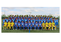 新潟小学生 ジュニアサッカーnews