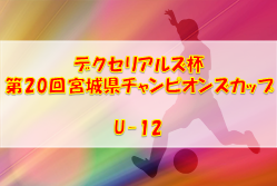 2022年度 デクセリアルズ杯 第20回宮城県チャンピオンズカップU-12 男子優勝は泉ブロック、女子優勝は中央ブロック！