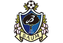 バオムFC川崎U-15（2023年度新規設立）練習会11/11他開催 2023年度 神奈川
