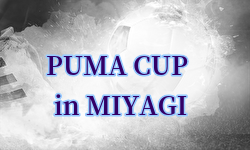 2024年度 PUMA CUP(プーマカップ)  in MIYAGI (宮城)  例年8月開催！日程・組合せ募集中