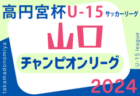 2024年度 U-12広島支部リーグ戦（広島県）7/6.7結果掲載！後期日程お待ちしています。