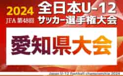 2024年度 第48回 JFA全日本U-12サッカー選手権 愛知県大会  東三河代表掲載！11/10,17,24開催！予選情報もお待ちしています