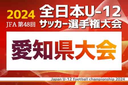 2024年度 第48回 JFA全日本U-12サッカー選手権 愛知県大会 11/10,17,24開催！情報をお待ちしています！