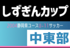 2024年度しずぎんカップ 第40回静岡県ユースU-11サッカー大会 静岡県大会  2025/2月開催予定  支部予選情報も募集中