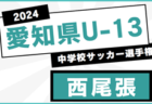 2024年度 愛知県U-13中学校サッカー選手権 西三河地区大会  例年12,1月開催  情報募集中！