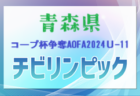 2025年度 第75回岩手県サッカー選手権 天皇杯 岩手県代表決定戦 1次ラウンド 10/27結果募集！組合せ、次回の日程募集