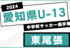 2024年度 愛知県U-13中学校サッカー選手権 愛知県大会  例年2月開催  地区予選情報もお待ちしています！