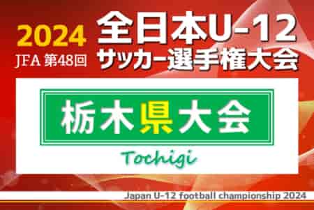 速報！2024年度 JFA全日本U-12サッカー選手権 栃木県大会 栃木SCとヴェルフェが決勝進出！準々決勝・準決勝11/16全結果更新！決勝は11/23開催！