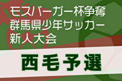 2024年度 モスバーガー杯争奪 第33回群馬県少年サッカー新人大会 西毛予選 例年12月開催！日程・組合せ募集中