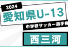 2024年度 愛知県高校新人体育大会 サッカー競技 新人戦 愛知県大会  例年1月～2月開催！地区予選情報も募集中！