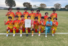 2024年度 DAICEL CUP 第51回兵庫県U-10サッカー選手権大会 兵庫 12/14.15開催！北摂、西宮、芦屋、神戸、明石、東播、北播磨、西播磨、但馬、丹有代表決定！組合せ募集中