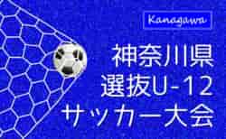 2024年度 神奈川県選抜U-12サッカー大会 例年県内24TCチーム出場、12/14,15,22開催！組合せ･メンバー情報募集！