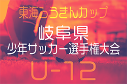 2024年度 東海ろうきんカップ 第57回岐阜県少年サッカー選手権大会 2025/2/1,2開催　岐阜･西濃･東濃･飛騨地区代表決定！中濃予選結果募集