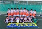 2024年度 兵庫県ルーキーリーグ（U-13）12/21.22判明分結果更新！次戦（判明分）12/25.28　2部B・三宮FCが優勝・1部昇格決定！3部C・長洲 vs BASARA SUMAはじめ未判明分の情報募集中