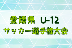 2024年度太陽石油Presentsテレビ愛媛杯争奪 第54回愛媛県U-12少年サッカー選手権大会 優勝はFCゼブラキッズ