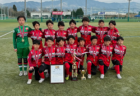 2024年度 理事長杯U-13大会 兼 第27回兵庫県中学生（U-13）サッカ－選手権大会 尼崎予選 優勝・県大会出場は尼崎FC！未判明分の結果・組合せ1試合から募集中