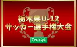 2024年度 栃木県U-12サッカー選手権 148チーム出場、組合せ掲載！2/1〜22開催！情報ありがとうございます！