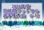 2025年度 第75回岩手県サッカー選手権 天皇杯 岩手県代表決定戦 1次ラウンド 結果・情報募集！決勝ラウンド 組合せ・日程募集 例年3月開催