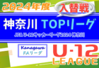 JFA U-12サッカーリーグ 2024 神奈川《FAリーグ》TOPリーグ 入替戦 組合せ判明分掲載、1/18開催！未判明組合せ募集！地区リーグ代表チーム判明分掲載！