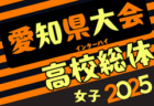 2025年度 第79回 愛知県高校総体サッカー競技 インターハイ 知多支部予選  例年4月開催  組み合わせ募集！