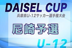 2025年度DAISEL CUP 第58回兵庫県U-12サッカー選手権大会 尼崎予選 例年4月開催！日程・組合せ募集中