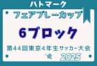 2025年度ハトマークフェアプレーカップ 第44回東京都4年生大会 4ブロック 例年4月開催！日程・組合せ募集中