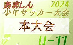 2024年度 あましん少年サッカー大会 U-11 本大会（兵庫）  例年4月開催！日程・組合せ募集中　尼崎、伊丹、川西猪名川、西宮、芦屋代表決定！宝塚代表の情報募集　組合せ・結果情報募集