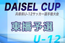 2025年度DAISEL CUP 第58回兵庫県U-12サッカー選手権大会 東播予選 例年5月開催！日程・組合せ募集中