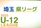 2025年度 サッカーカレンダー【埼玉】年間大会スケジュール一覧